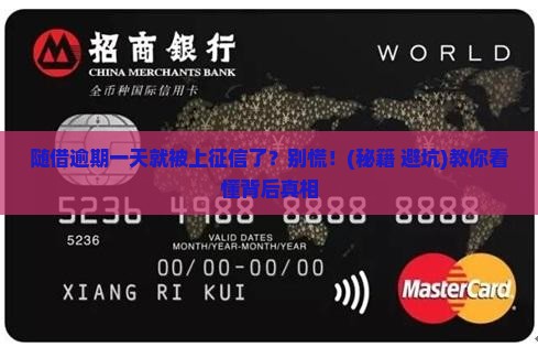 随借逾期一天就上征信该如何处理