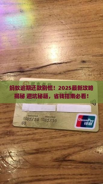 蚂蚁逾期协商还款流程详解