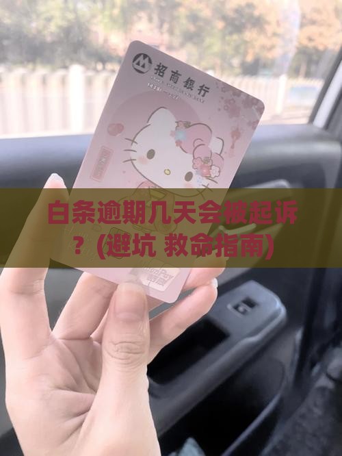 白条逾期几天会被起诉如何处理