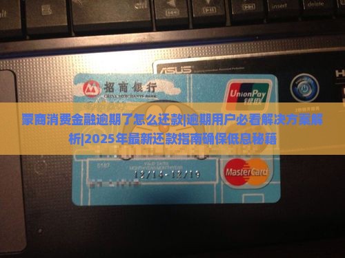 蒙商消费金融逾期了怎么还款