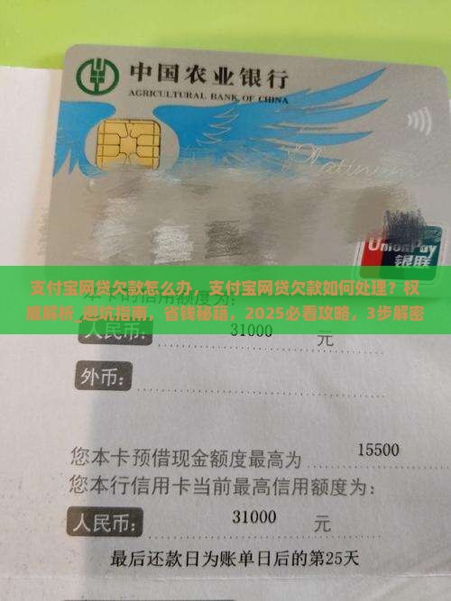 支付宝网贷欠款怎么办