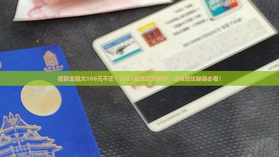 招联金融欠100元怎么办