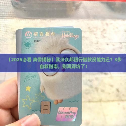 武汉众邦银行借款无还款能力怎么办
