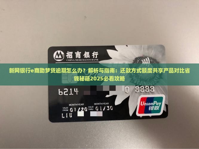 新网银行e商助梦贷逾期怎么办