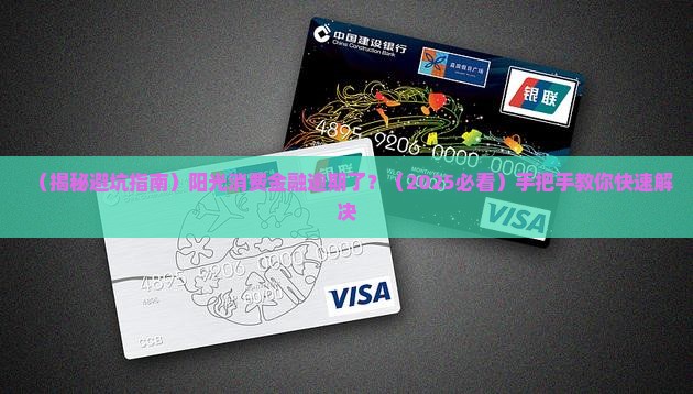 阳光消费金融公司网贷逾期