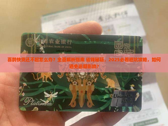 喜鹊快贷还不起会怎么样 喜鹊快贷还不起会怎么样