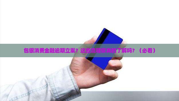 包银消费金融逾期立案流程