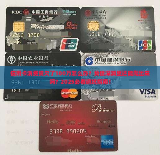 信用卡消费贷欠了100万怎么办