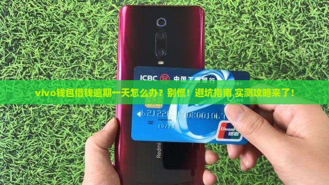 vivo钱包借钱逾期一天怎么办