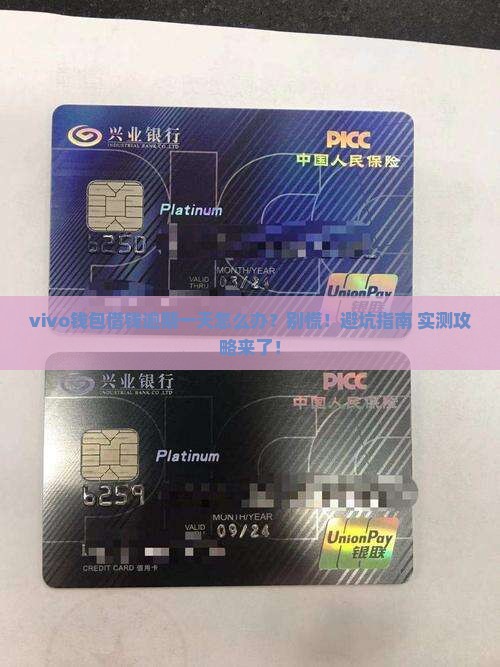 vivo钱包借钱逾期一天怎么办