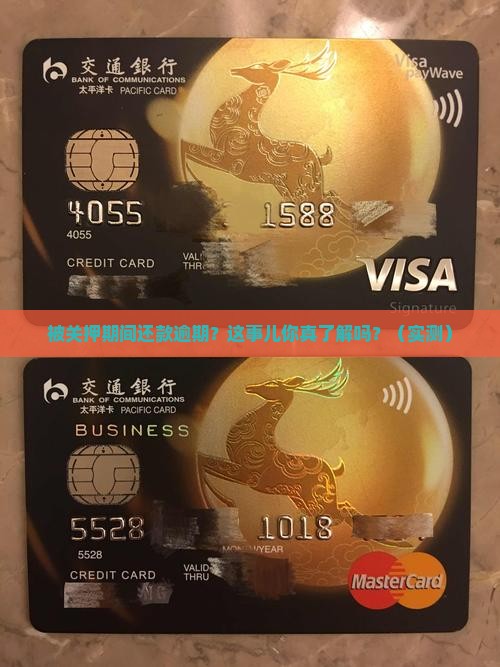 被关押期间还款逾期