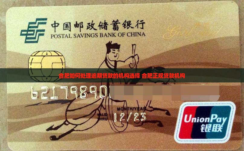 合肥如何处理逾期贷款的机构选择