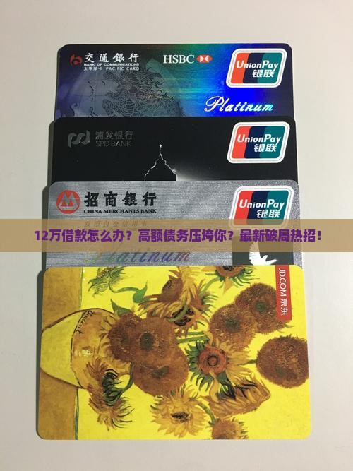 12万借款怎么办