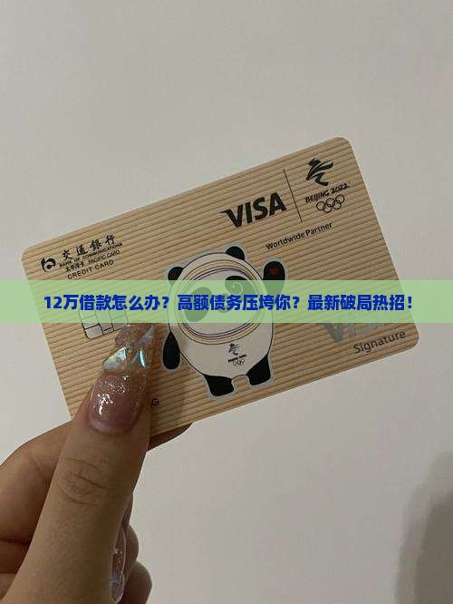 12万借款怎么办