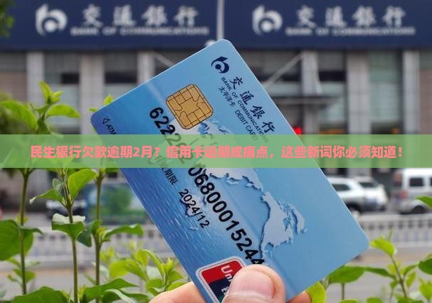 民生银行欠款逾期2月