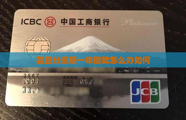 芸豆分逾期一年借款怎么办如何