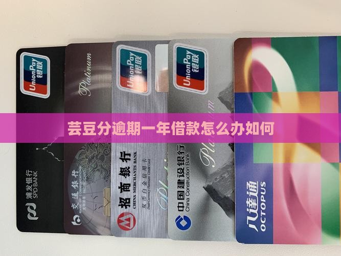 芸豆分逾期一年借款怎么办如何