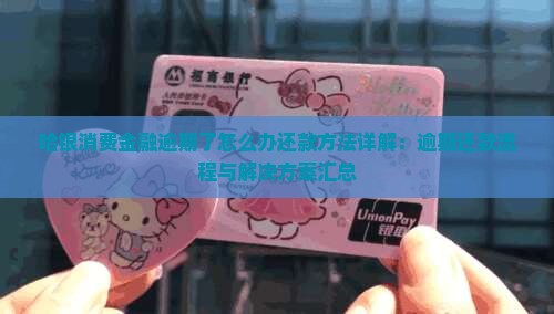 哈银消费金融逾期了怎么办还款方法详解：逾期还款流程与解决方案汇总