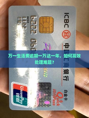 万一生活费逾期一万达一年，如何高效处理难题？