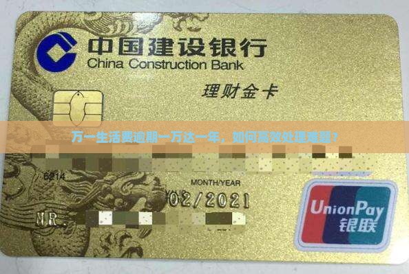 万一生活费逾期一万达一年，如何高效处理难题？