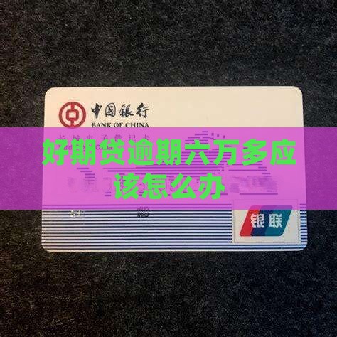 好期贷逾期六万多应该怎么办