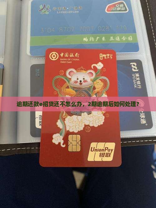 逾期还款e招贷还不怎么办，2期逾期后如何处理？