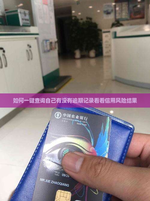 如何一键查询自己有没有逾期记录看看信用风险结果