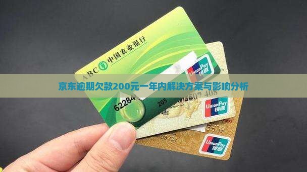 京东逾期欠款200元一年内解决方案与影响分析
