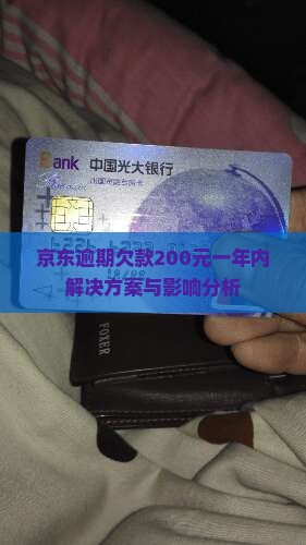 京东逾期欠款200元一年内解决方案与影响分析