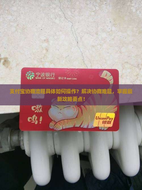 支付宝协商流程具体如何操作？解决协商难题，掌握最新攻略要点！