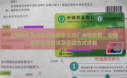 上海银行贷款还款延期怎么办：申请流程、逾期全额还款要求及还款方式详解