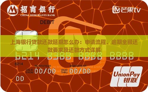上海银行贷款还款延期怎么办：申请流程、逾期全额还款要求及还款方式详解
