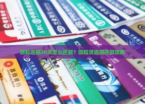 微粒逾期30天怎么还款？微粒贷逾期还款攻略