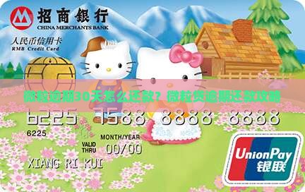 微粒逾期30天怎么还款？微粒贷逾期还款攻略
