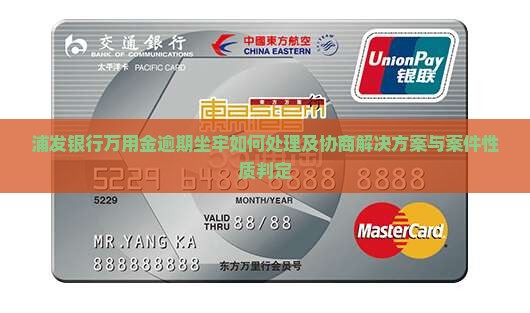 浦发银行万用金逾期坐牢如何处理及协商解决方案与案件性质判定