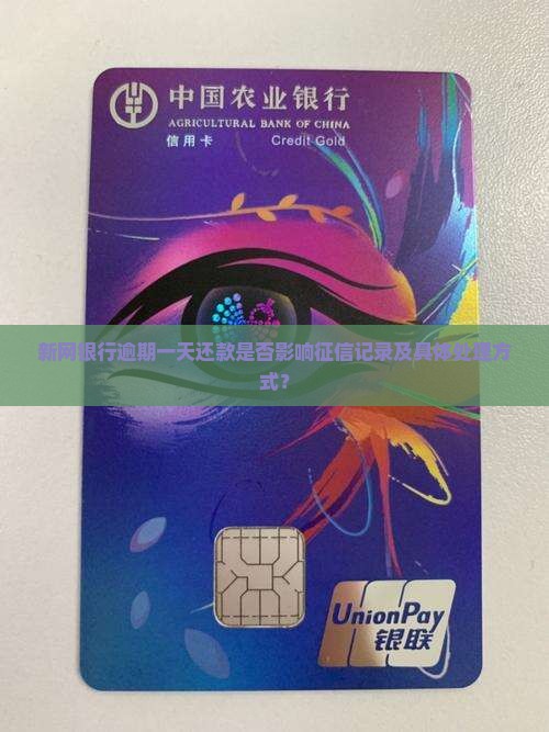 新网银行逾期一天还款是否影响征信记录及具体处理方式？