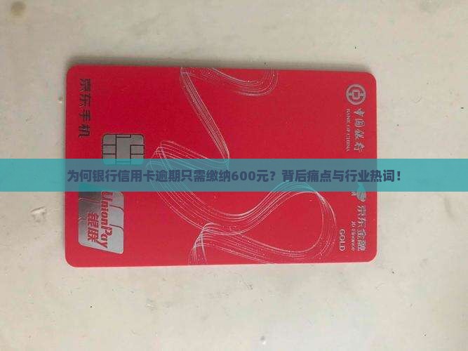 为何银行信用卡逾期只需缴纳600元？背后痛点与行业热词！