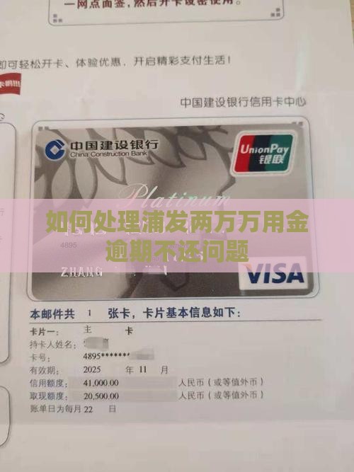 如何处理浦发两万万用金逾期不还问题