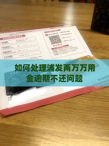 如何处理浦发两万万用金逾期不还问题