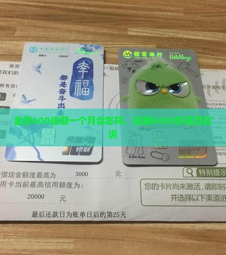 金条600逾期一个月会怎样，逾期6000多是否起诉
