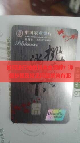 如何进行拍拍贷本金调解？详细步骤及常见问题解答有哪些？