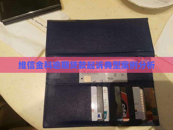 维信金科逾期贷款起诉典型案例分析