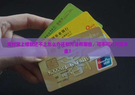 支付宝上借款还不上怎么办还款方法有哪些，可不可以只还本金？