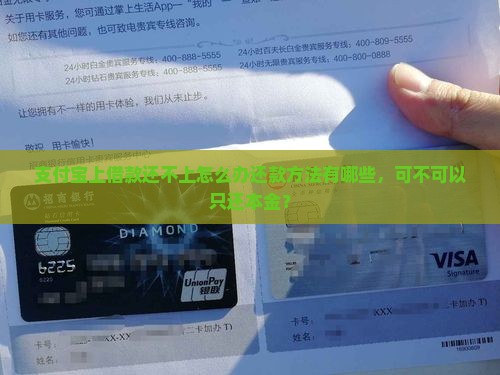 支付宝上借款还不上怎么办还款方法有哪些，可不可以只还本金？