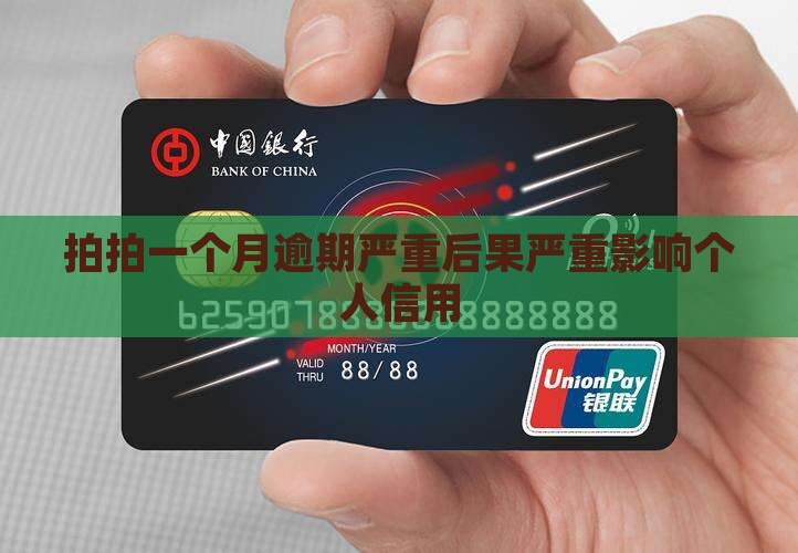 拍拍一个月逾期严重后果严重影响个人信用