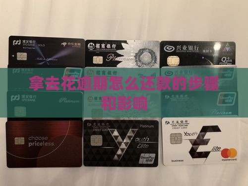拿去花逾期怎么还款的步骤和影响