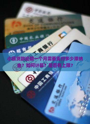 小额贷款逾期一个月需要支付多少滞纳金？如何计算？是否有上限？