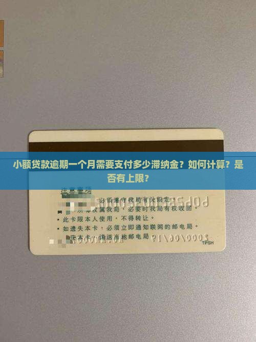 小额贷款逾期一个月需要支付多少滞纳金？如何计算？是否有上限？