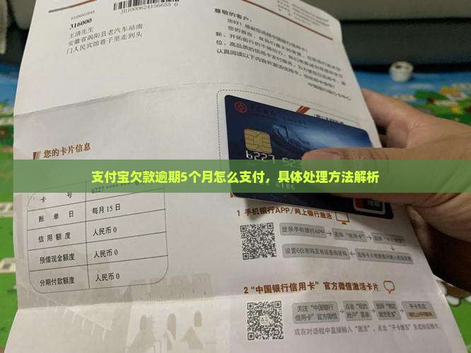 支付宝欠款逾期5个月怎么支付，具体处理方法解析