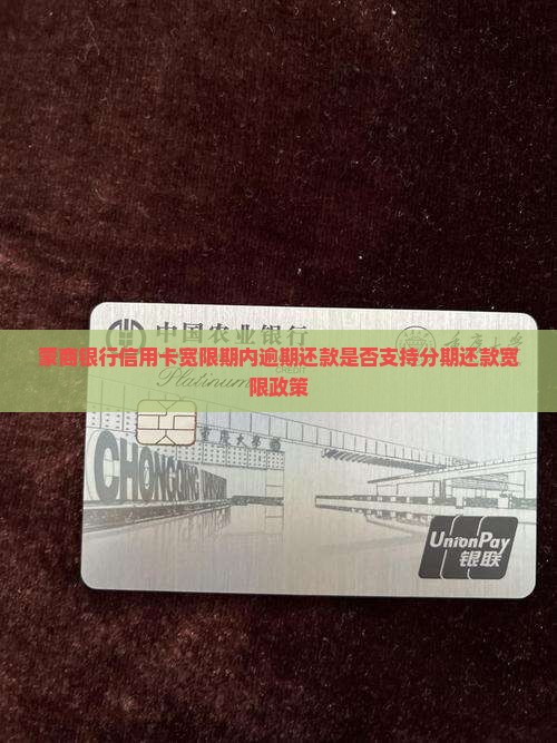 蒙商银行信用卡宽限期内逾期还款是否支持分期还款宽限政策